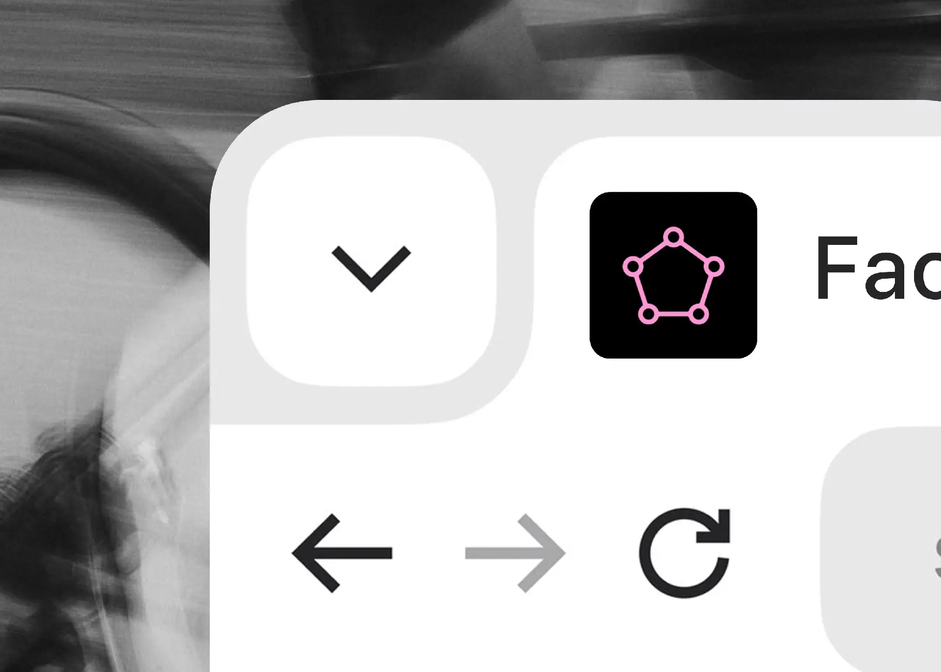 factors favicon in broswer