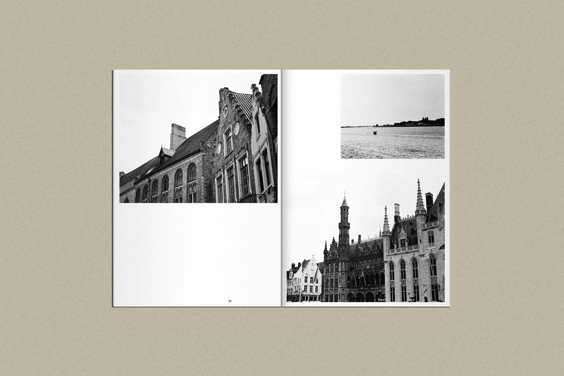 cover of medium book