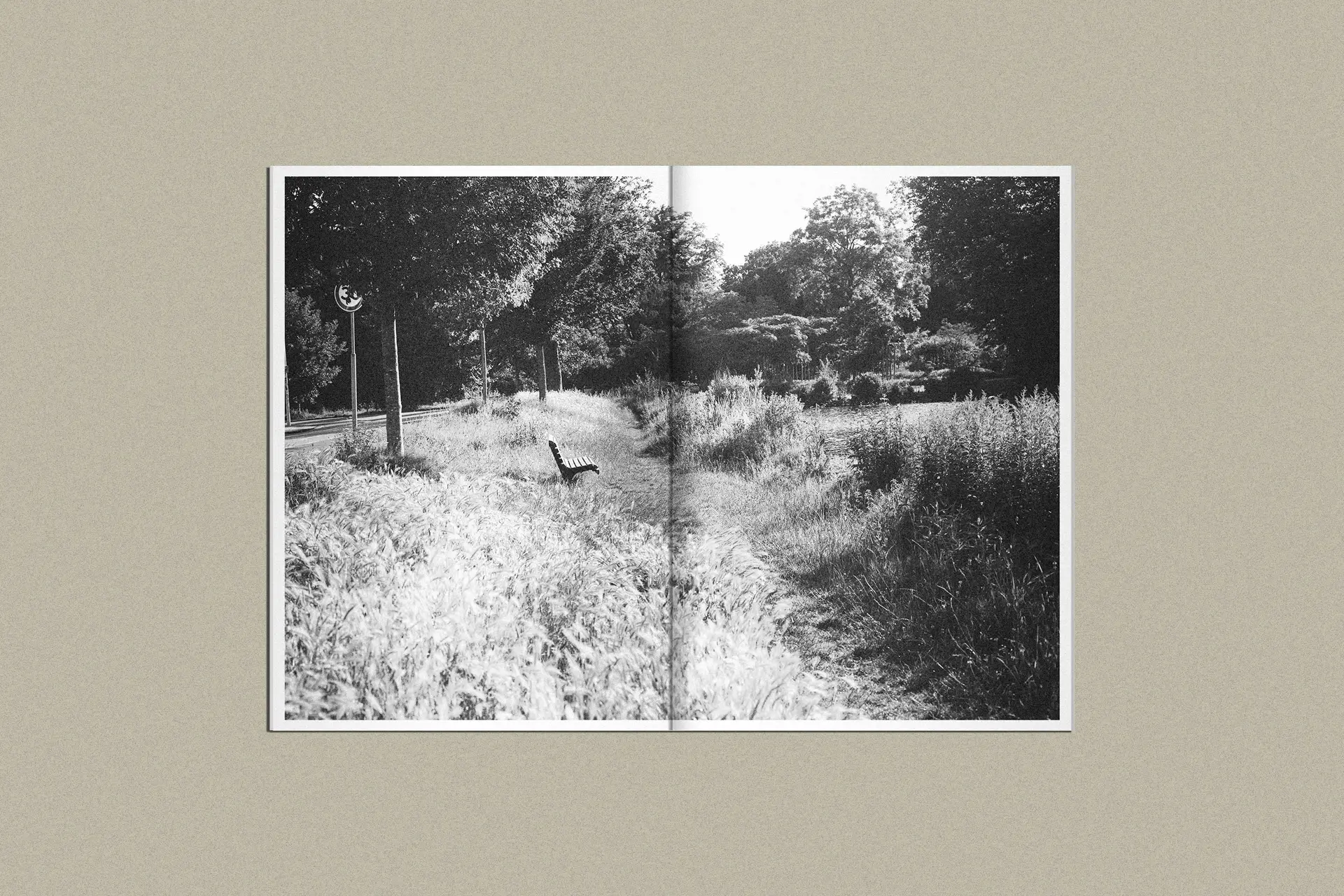 inside spread of Medium book
